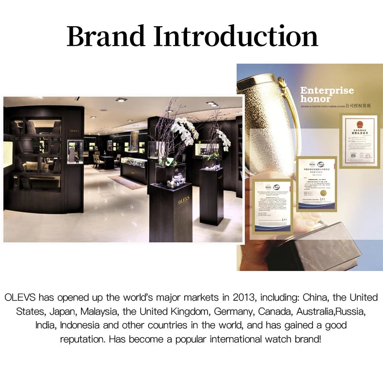 OLEVS 6661 Men’s Automatic Watch