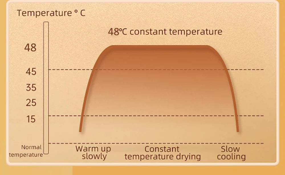 Portable Foldable Electric Shoe & Boot Dryer – 220V for Sneakers & Slippers